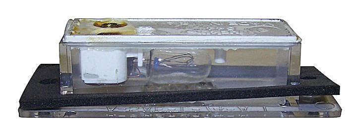Crown Automotive J3670544 License Plate Light for 81-91 Jeep SJ